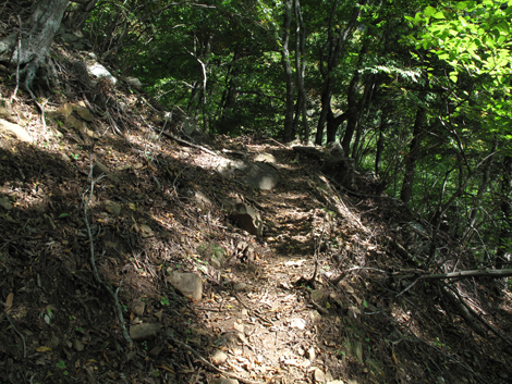 20171012hike (87)